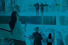 Banner Image 2
